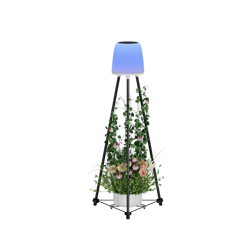 ABS/Eisen-LED-Solar-Dekorationslicht Außen 22*20*40.5 CM Innenbox 1,9 KG G.W.