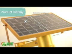 6 W integrierte Apple Solar-LED-Straßenlaternen, automatische Solar-Gartenbeleuchtung für den Weg
